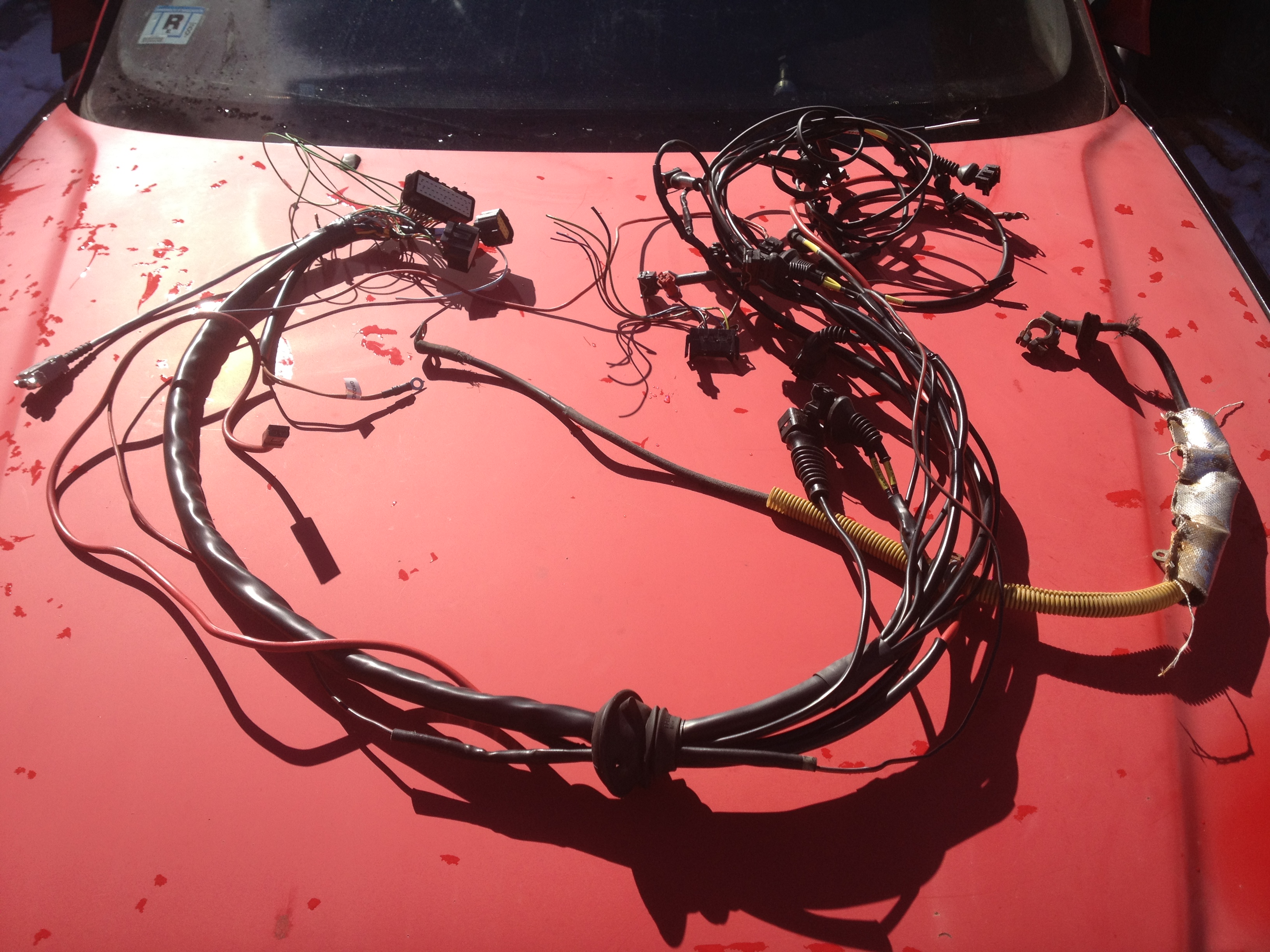 Sebastian's CQ91' vems harness EFI Express.JPG