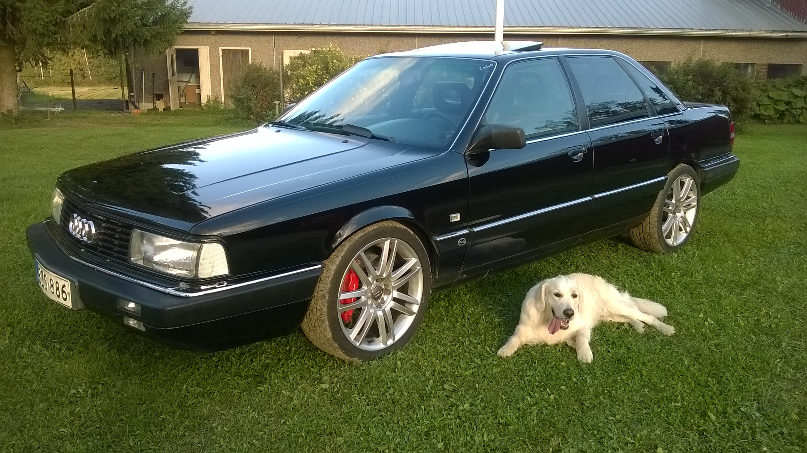 Missing a trim piece from front left corner below side reflector.