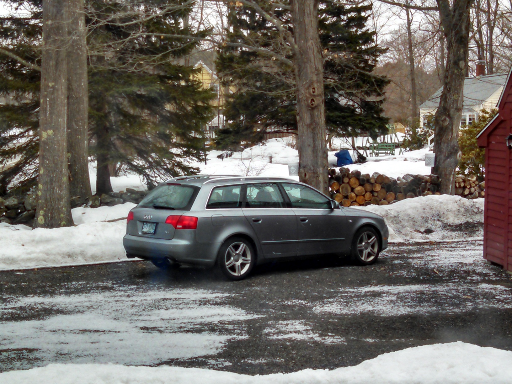 Izzy late winter TPP.jpg